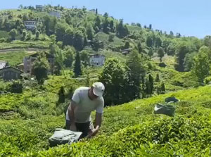 Rizeli çay üreticisinden Selçuk Bayraktar'a ilginç çağrı