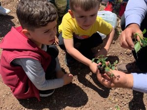 Tunceli’de Anaokulu Öğrencileri Hobi Bahçesi Oluşturdu