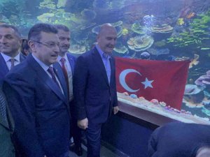 Bakan Süleyman Soylu Tünel Akvaryumu Gezdi