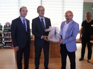 Savunma Sanayii Başkanı İ̇smail Demir, Altınova’da Tıbbı Aromatik Bahçesini Gezdi