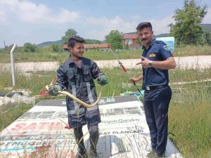 Hobi Bahçesinde Yakalanan 2 Metrelik Yılan Doğaya Salındı