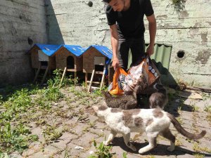 Zbeü İ̇letişim Fakültesi Öğrencilerilerinden Gönüllülük Projesi