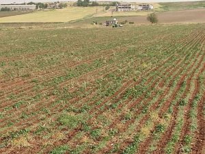 Diyarbakır’da Yıldırım Çarpması Sonucu Bir Çocuk Öldü