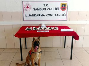 Jandarmadan Uyuşturucu Operasyonları: 37 Gözaltı