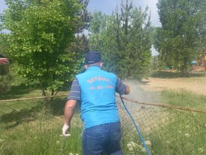 Bayburt Belediyesi İlaçlama Mesaisine Devam Ediyor