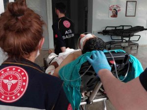 Amcasına Fındık Bahçesinde Kurşun Yağdırdı