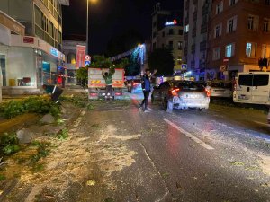 Tır’ın Çarptığı Ağaç Ortadan İkiye Kırıldı