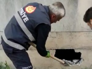 Mahsur Kalan Kediyi İtfaiye Ekipleri Kurtardı