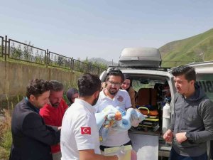 Böbrek Fonksiyonları Bozuk Olan Bebek İçin Helikopter Havalandı