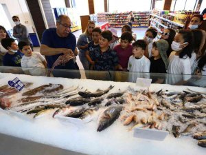 Hem Öğrendiler, Hem Eğlendiler