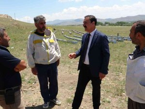 Başkan Süer: “Van’ın Gerçek Balı İlaçtır”