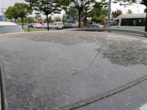 Samsun’da Arabalar Çamurla Kaplandı