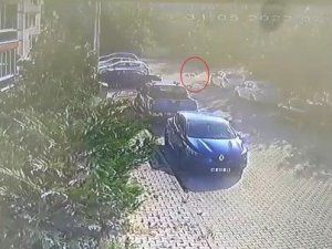 Köpeğe Çarpıp Yoluna Devam Etti, Güvenlik Kamerasına Yakalandı