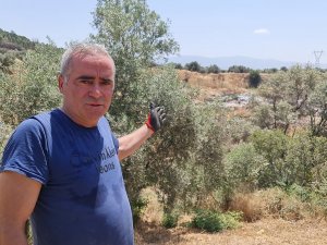 Çevre Konusunda Örnek Olması Gereken Sultanhisar Belediyesi ’Pes’ Dedirtti