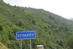 Giresun'da Şarbon Vakası