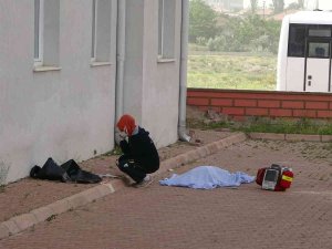 Yaşlı Kadının Feci Sonu