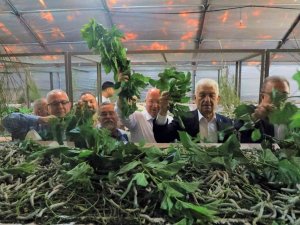 İ̇pekböceği Yetiştiricilerine Destek