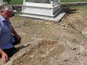 Tuzla’da Soyguncu Tarafından Vurulan Kuyumcu Yaşam Savaşını Kaybetti