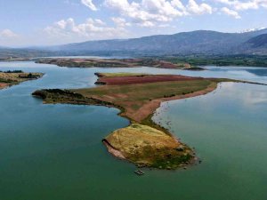 Milyonluk Adaya Müşteri Çıkmadı, Onlarda Atayı Sürüp Yem Bitkisi Ekti