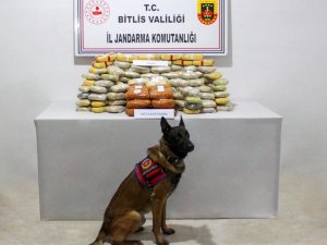 Bitlis’te 89 Kilo Uyuşturucu Geçirildi