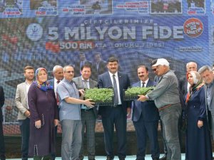 Kahramankazan’da Ata Tohumlarından Yetiştirilen 500 Bin Domates Fidesi Çiftçilere Ücretsiz Dağıtıldı