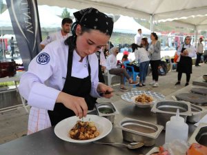 Van Gastronomi Festivali Sona Erdi