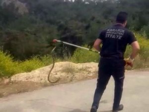 Kümesteki 1.5 Metre Uzunluğundaki Yılanı İtfaiye Yakaladı