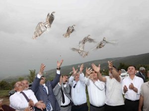 Süne İle Biyolojik Mücadele Timi Görev Başında