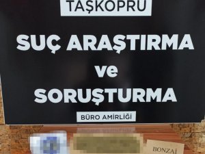 Taşköprü’de Polisten Silah Ve Uyuşturucu Operasyonu