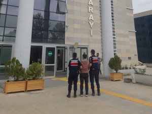Elazığ’da Hırsızlık Suçundan Aranan Şüpheli Jandarma Ekipleri Tarafından Yakalandı