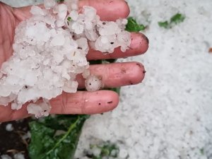 Karayolu Ve Tarım Arazileri Sel Suları Altında Kaldı