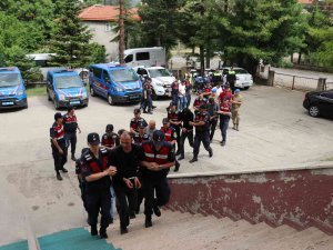 Jandarmanın 3 İlde Şafak Operasyonunda 5 Tutuklu