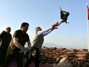Şırnak’ta Tedavisi Tamamlanan Kuşlar Doğaya Bırakıldı