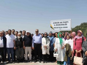 Ak Parti Çorum Teşkilatları Fidan Dikti