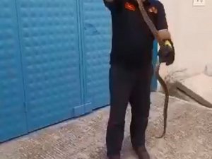 Depoya Giren Yılan Ekipleri Harekete Geçirdi