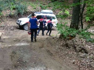 Kestiği Ağacın Parçası Kafasına Çarpan İşçi Hastaneye Kaldırıldı