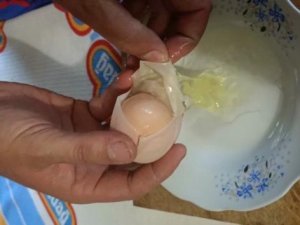 Yumurtanın İçinden Yumurta Çıktı