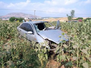 Otomobil Ayçiçek Tarlasına Uçtu: 1 Yaralı