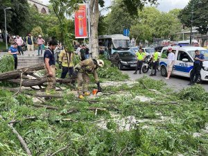 Beyoğlu’nda Gövdesinden Kırılan Ağaç Yola Devrildi: 2’si Turist 3 Kişi Yaralandı