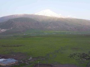 Iğdır’da Yeşeren Meralar Koyun Sürüleriyle Şenlendi