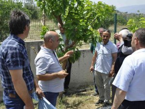 Eskişehir’de İpekböcekçiliği Yaygınlaşıyor