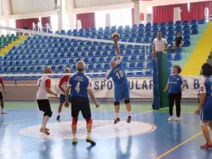 Tazelenme Üniversitesi Olimpiyatları