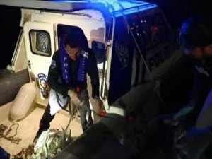 Van’da 350 Kilo Kaçak Avlanmış İnci Kefali Ele Geçirildi