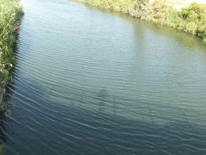 Burhaniye’ De Dere Ve Deniz Kirliliğine Dikkat Çekildi