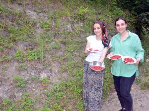 Bu Çileğin Kilosu 200 Tl