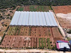 Enerjisi Rüzgar Ve Güneşten, İyi Tarıma Örnek Bahçe, Her Şey Doğal