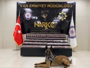 Van’da 80 Kilo Uyuşturucu Ele Geçirildi