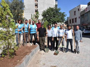 Hayvan Severler Çevre Gününde Ağaç Dikti