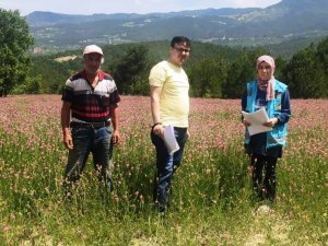 Hisarcık’ta Yem Bitkileri Kontrolleri