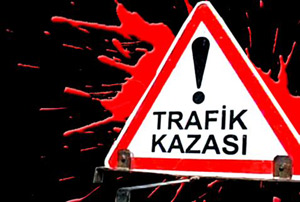 Minibüsün çarptığı 2 kardeş hayatını kaybetti